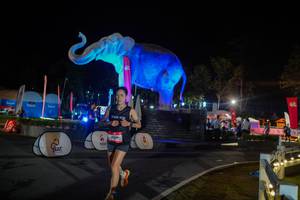 BIB: 
                            <button type="button" onclick="openModal(26552401)" class="btn btn-primary btn-sm float-right btn-popup" data-toggle="modal" data-target=".modal-high-quality">
                        <i class="fas fa-shopping-cart"></i> Add to Cart
                    </button>
                                            <button type="button" onclick="isThisMe(26552401, true)" class="btn btn-success btn-sm float-right btn-popup btn-isme hidden" data-toggle="tooltip" data-placement="bottom" title="นี่คือรูปของคุณใช่ไหม คลิกที่นี่เพื่อเอาเข้าอัลบั้ม">
                        <i class="fas fa-plus"></i> Add to album
                    </button>
                    <button type="button" onclick="isThisMe(26552401, false)" class="btn btn-warning btn-sm float-right btn-popup btn-isnotme hidden">
                        <i class="fas fa-ban"></i> Remove from album
                    </button>